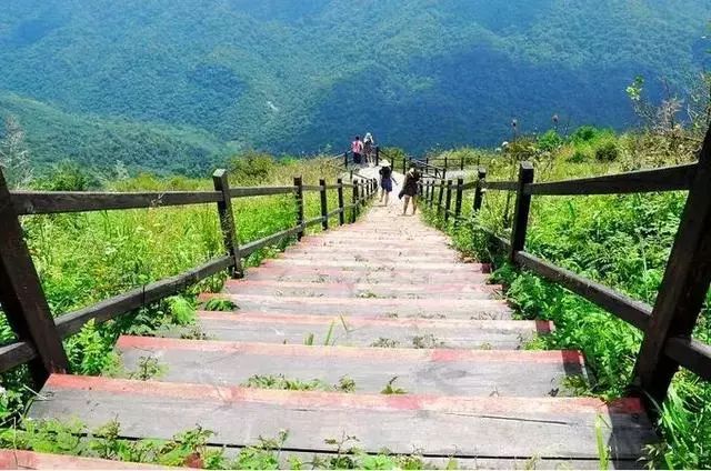 AG真人平台网址：木子铁奶茶，口味上不断推陈出新