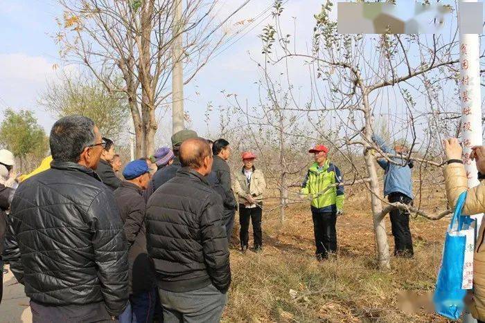 
农技指导员向特聘农技员学什么‘ag真人官网平台’(图3)