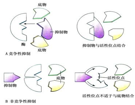 整容之后你快乐吗？部分人整容需谨慎！：AG真人官方网址